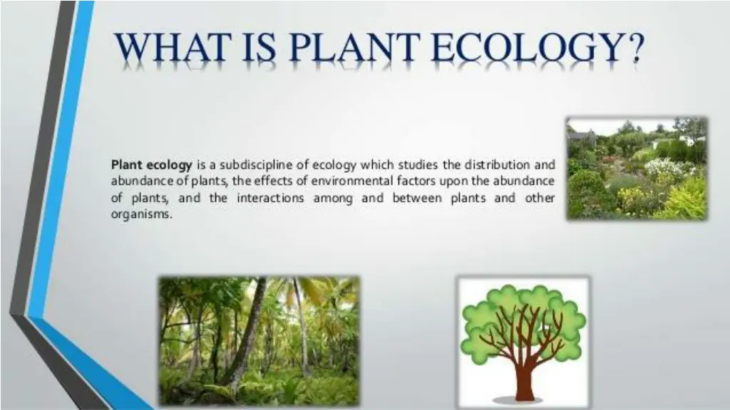 slide3