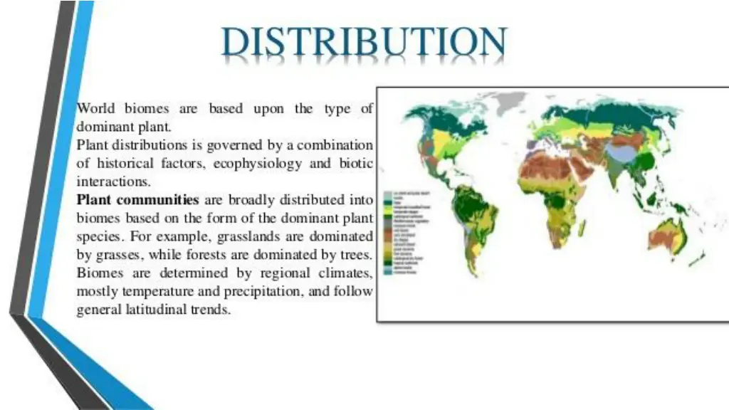 slide4