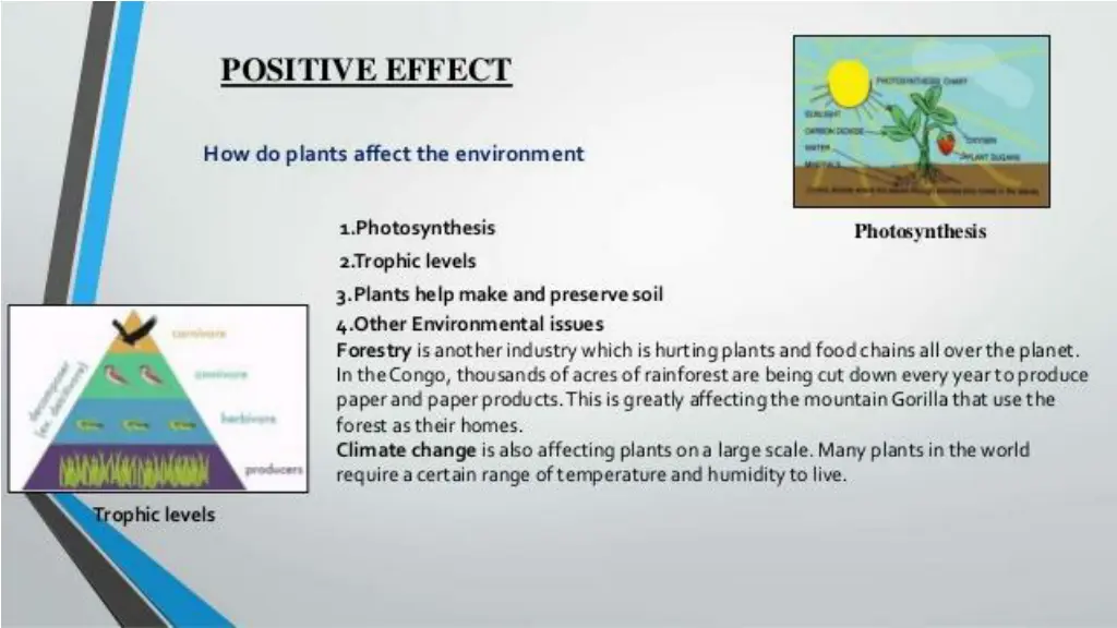 slide8