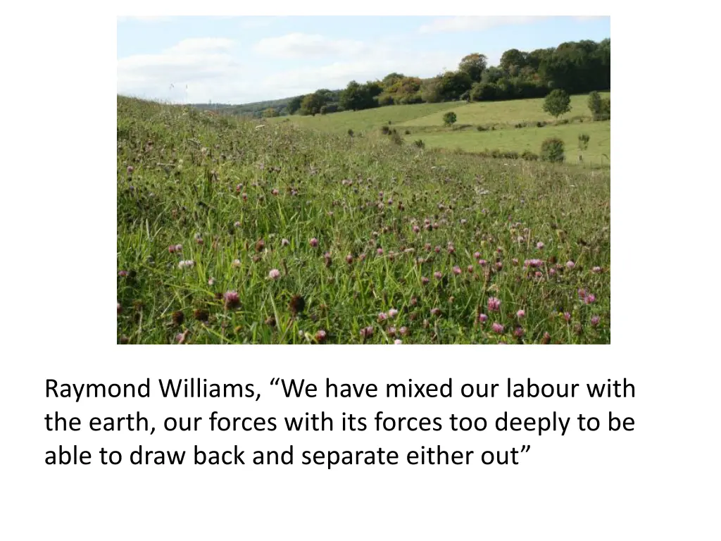 raymond williams we have mixed our labour with