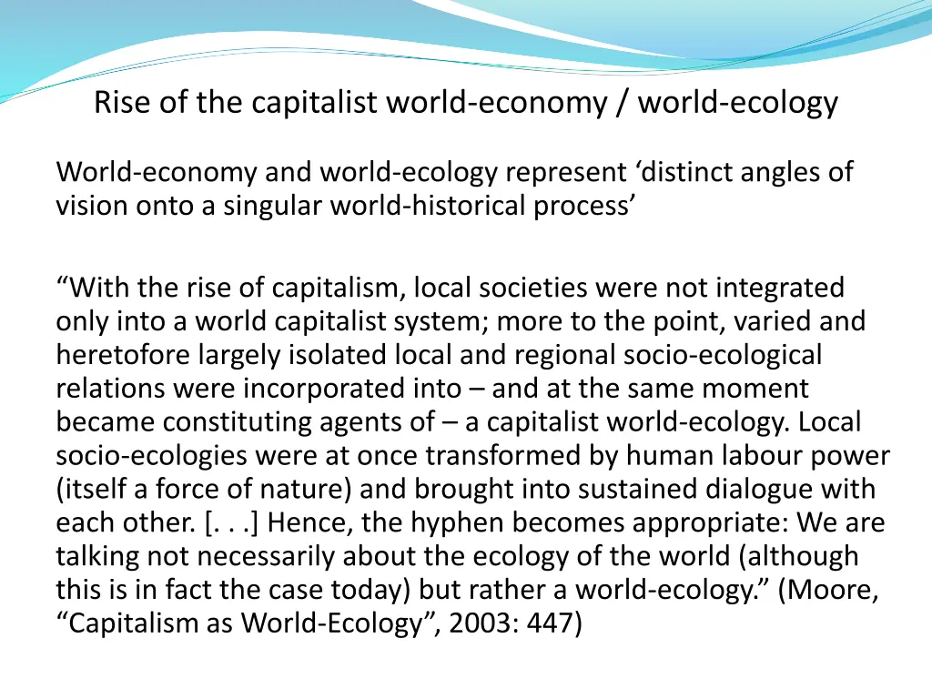 rise of the capitalist world economy world ecology