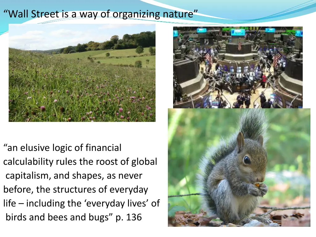 wall street is a way of organizing nature