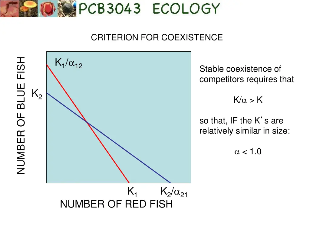 criterion for coexistence 1