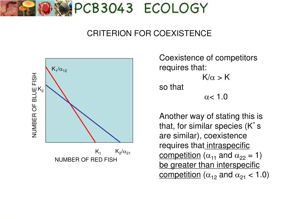 criterion for coexistence 2