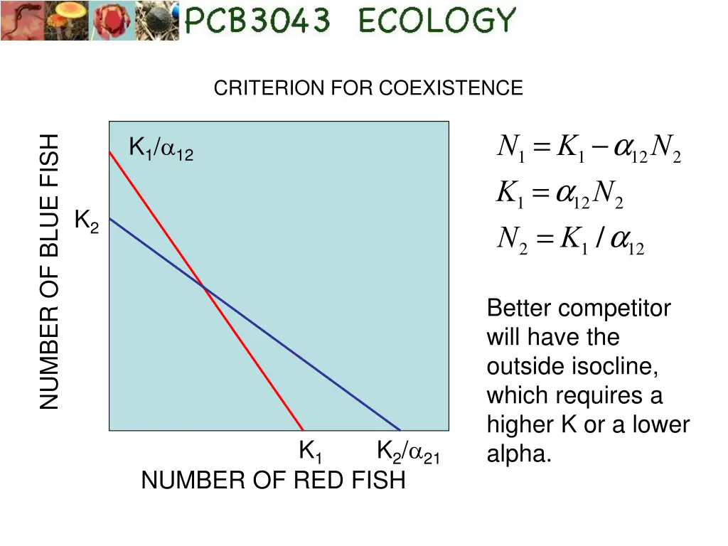 criterion for coexistence