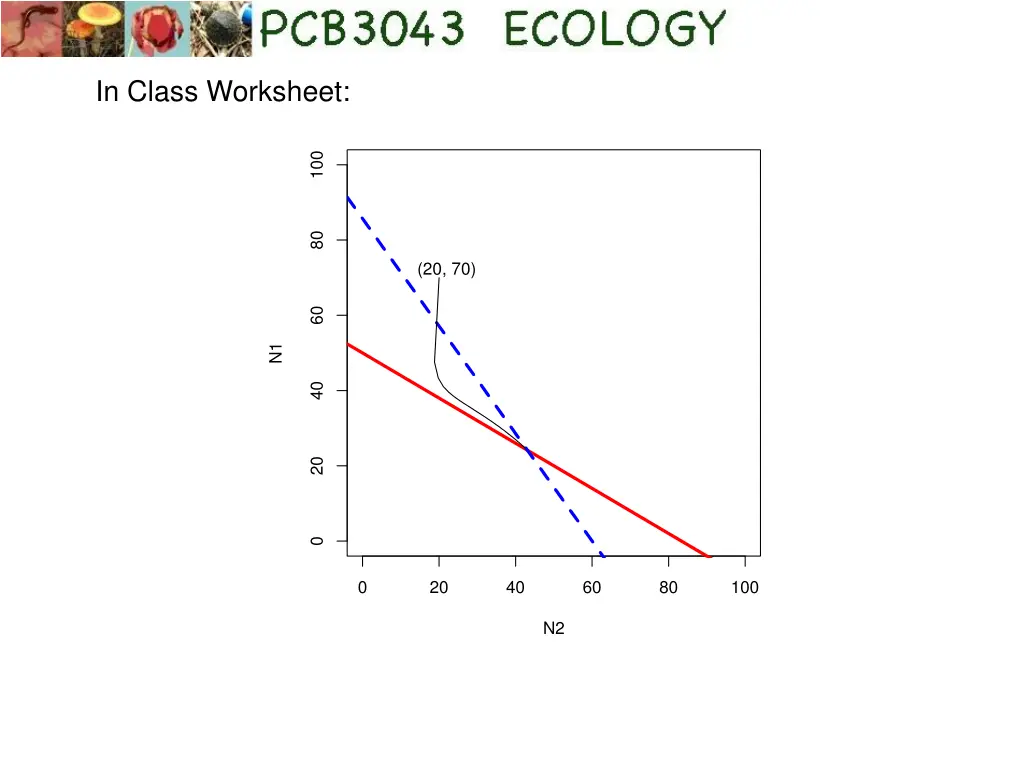 in class worksheet 1