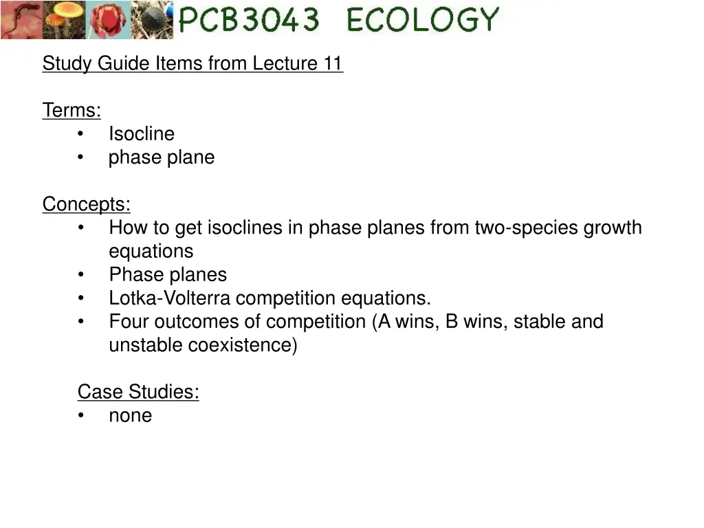 study guide items from lecture 11