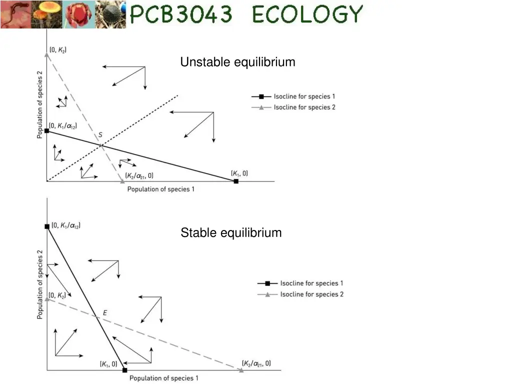 unstable equilibrium 1