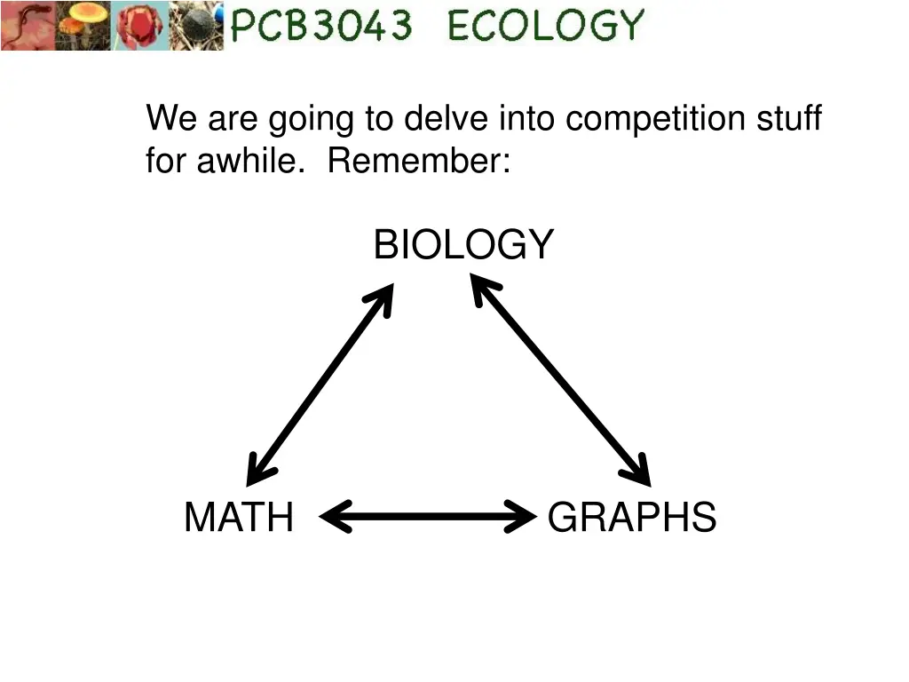 we are going to delve into competition stuff