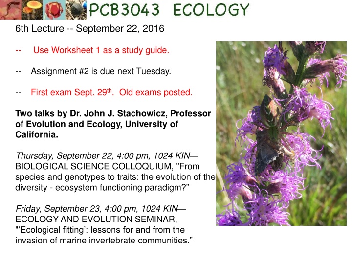 6th lecture september 22 2016