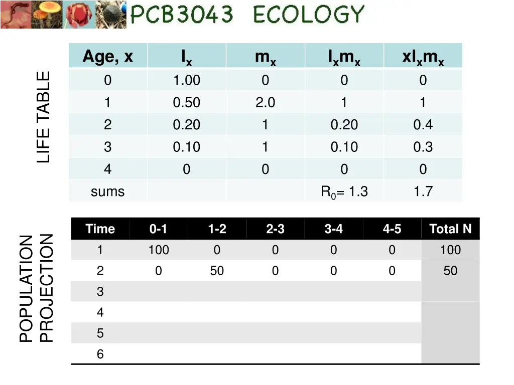 age x 0 1 2 3 4 sums 1