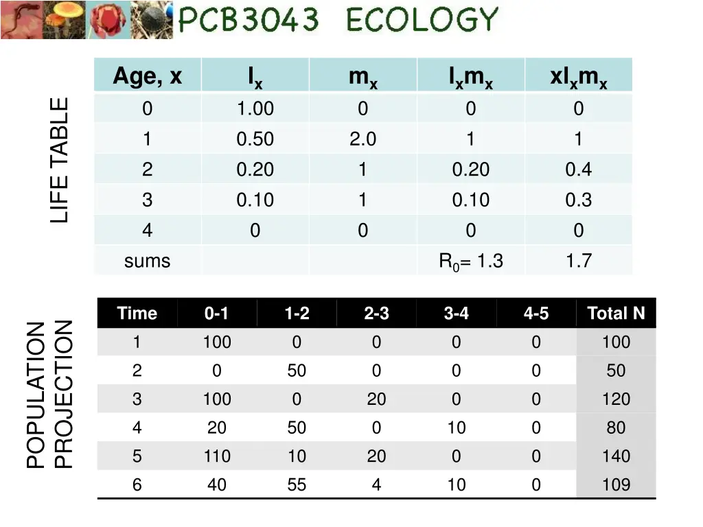 age x 0 1 2 3 4 sums 4