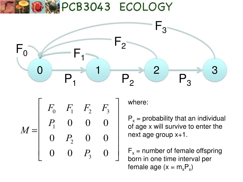 slide32