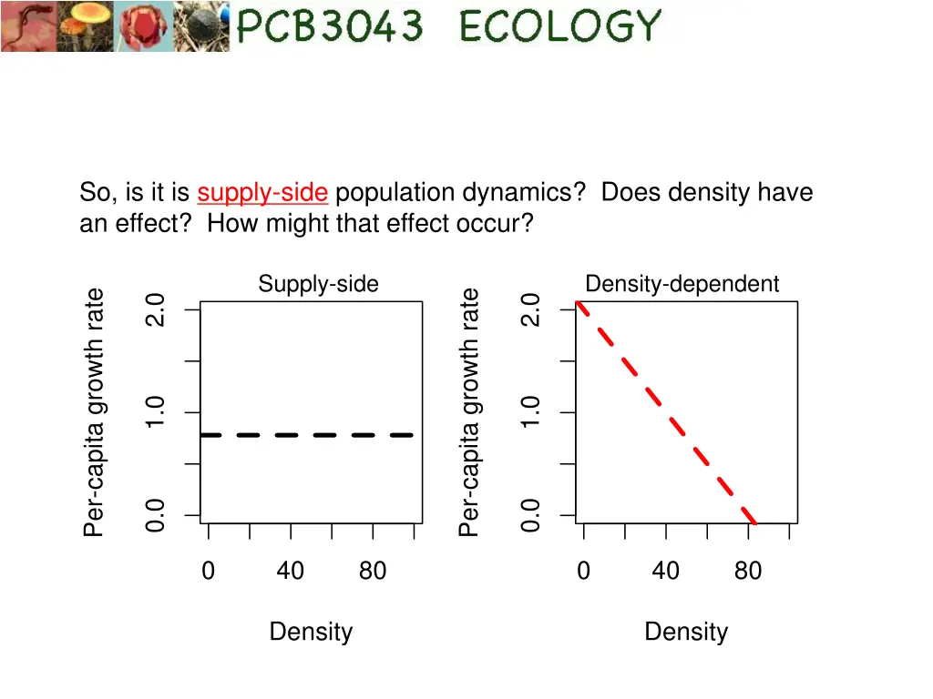 so is it is supply side population dynamics does
