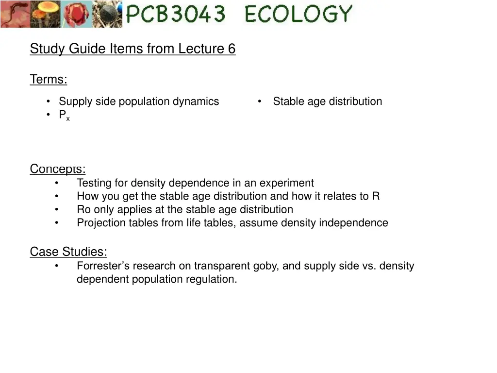 study guide items from lecture 6