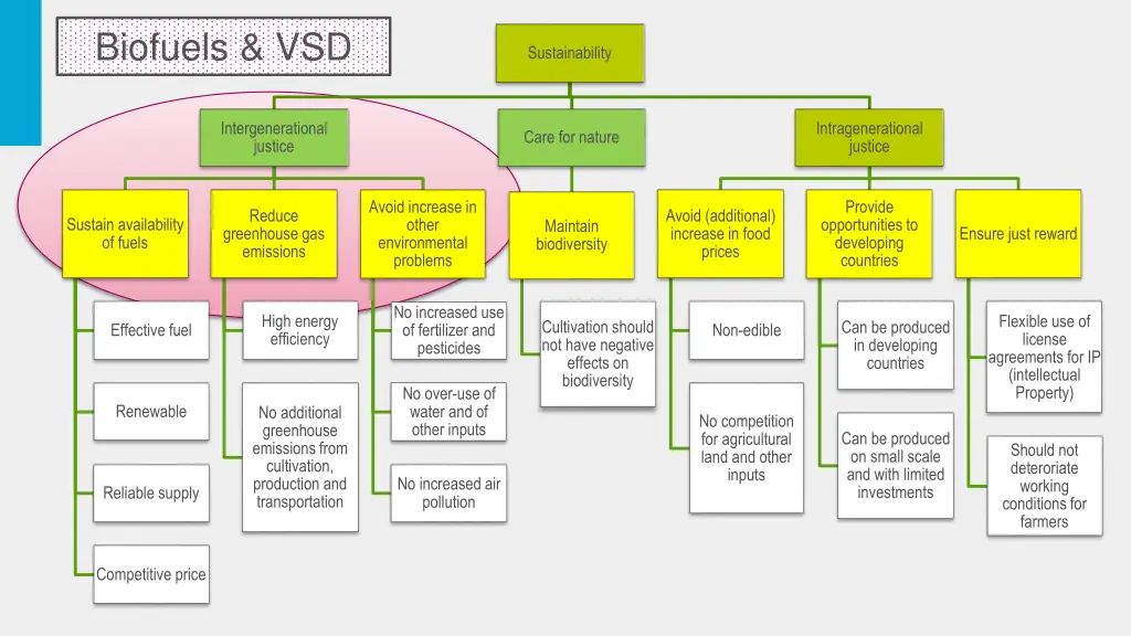 biofuels vsd 2