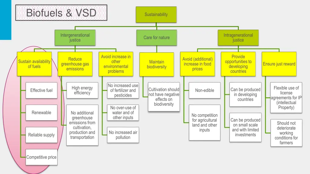 biofuels vsd 3