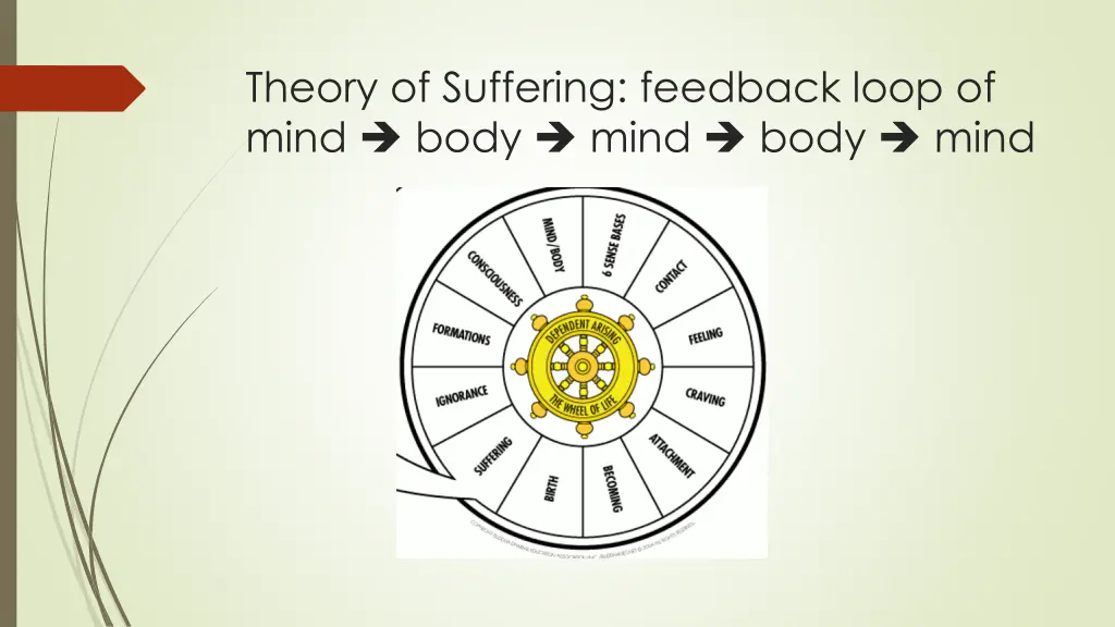 theory of suffering feedback loop of mind body