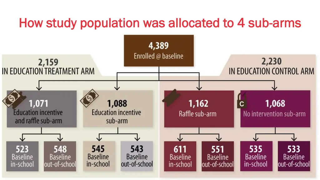 how study population was allocated