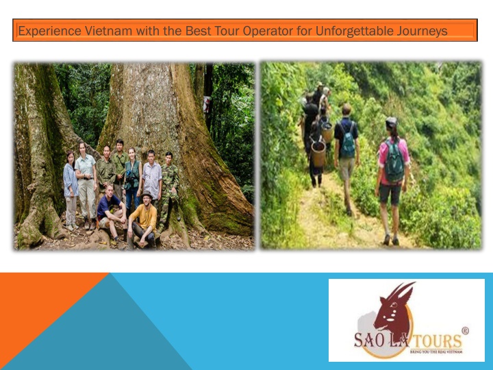 experience vietnam with the best tour operator