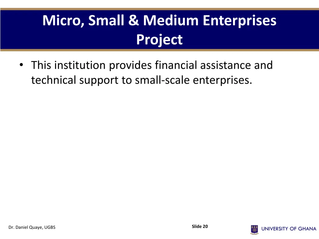 micro small medium enterprises project