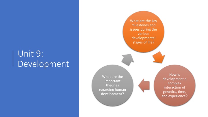 what are the key milestones and issues during