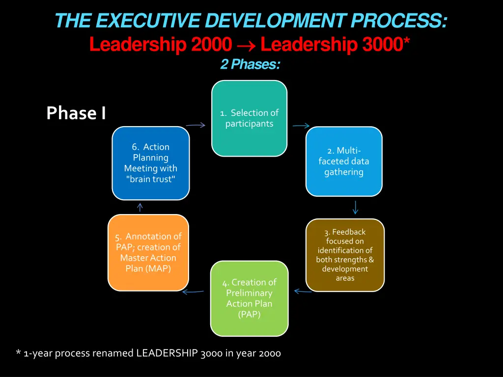 the executive development process leadership 2000