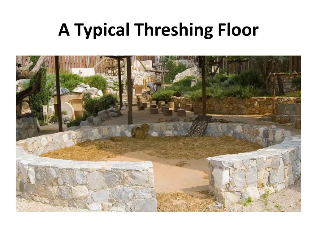 a typical threshing floor