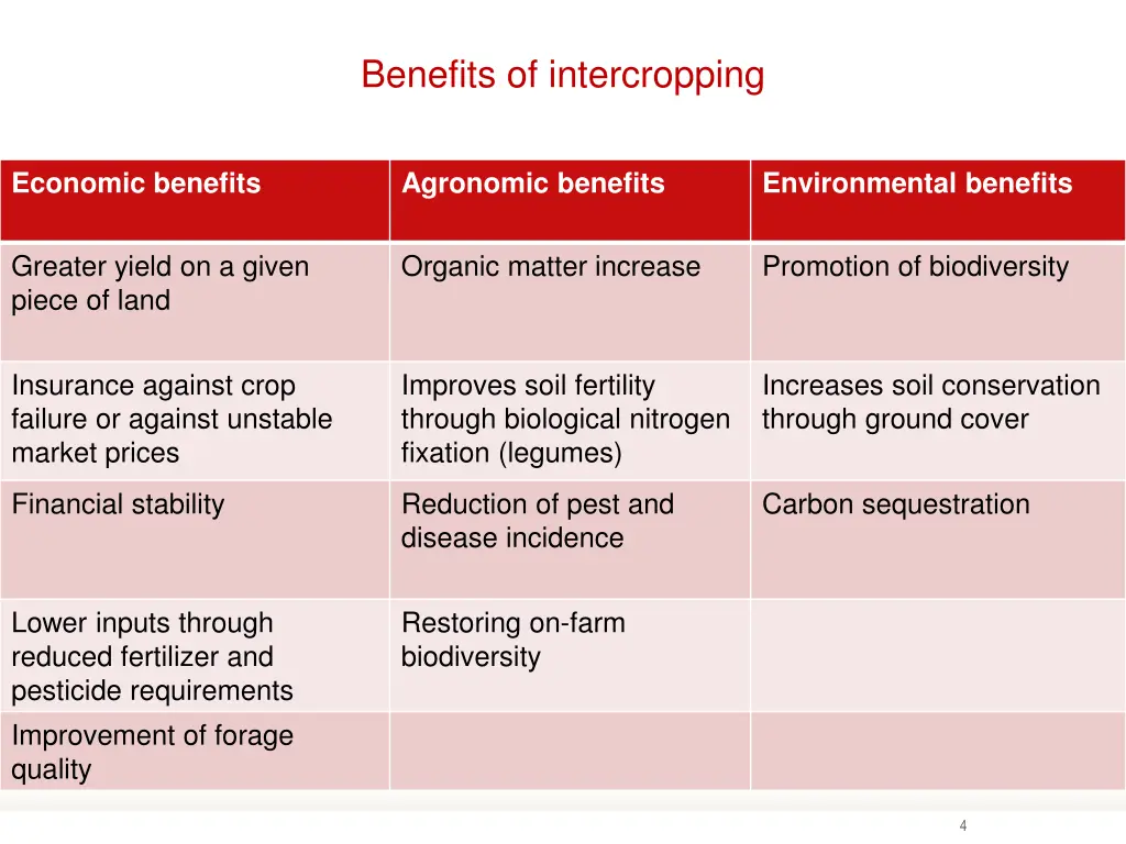 benefits of intercropping