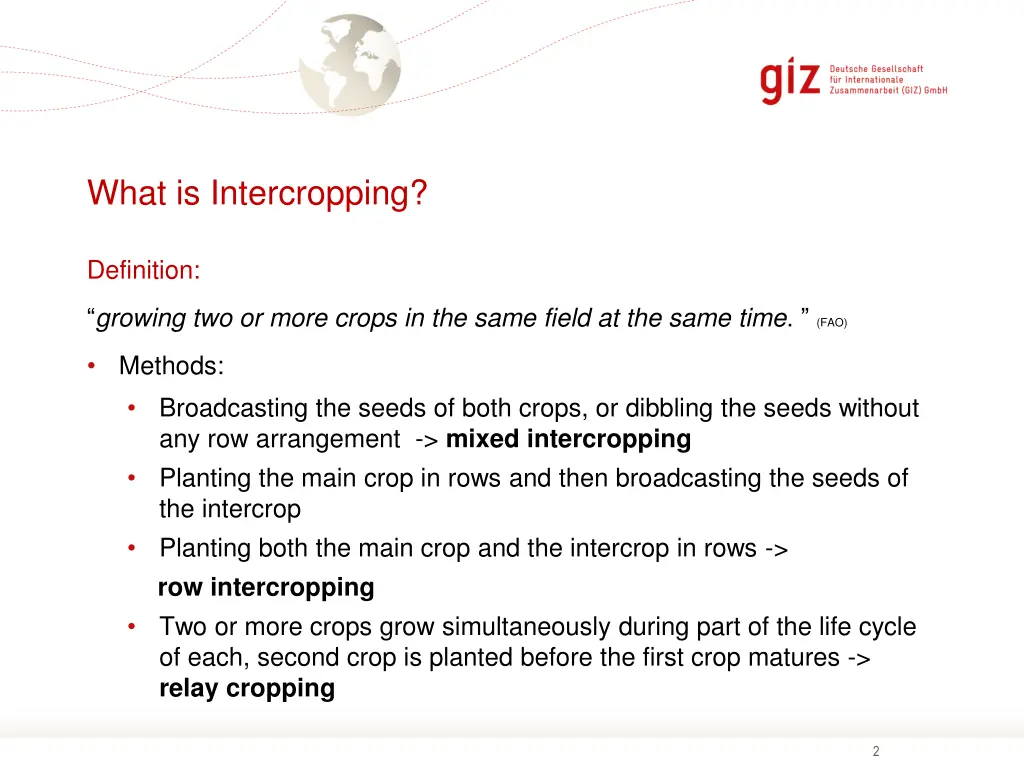 what is intercropping