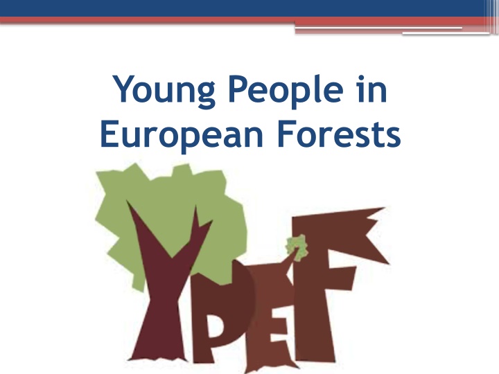 young people in european forests
