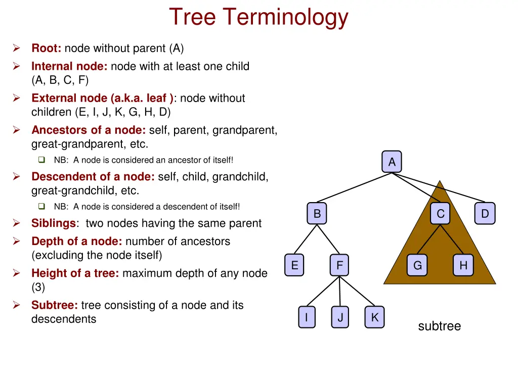 tree terminology