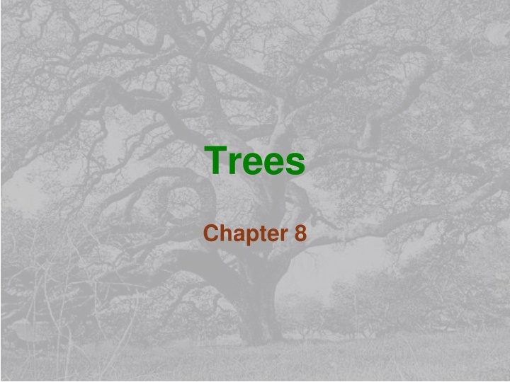 trees