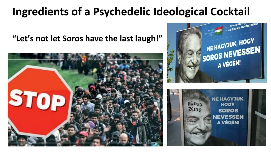 ingredients of a psychedelic ideological cocktail