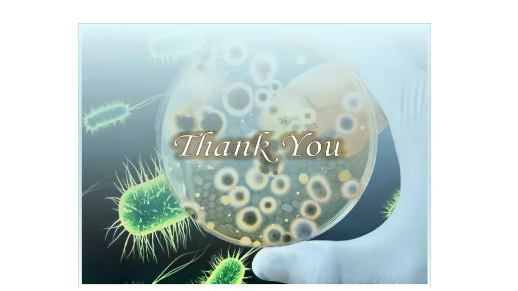 slide23