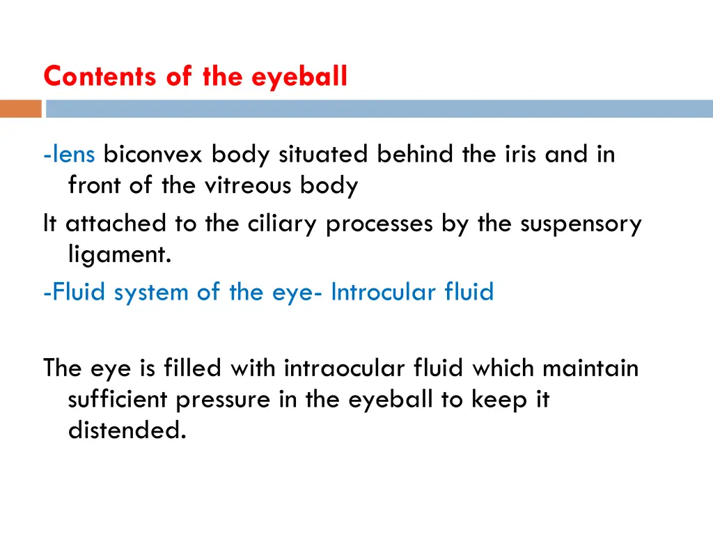 contents of the eyeball
