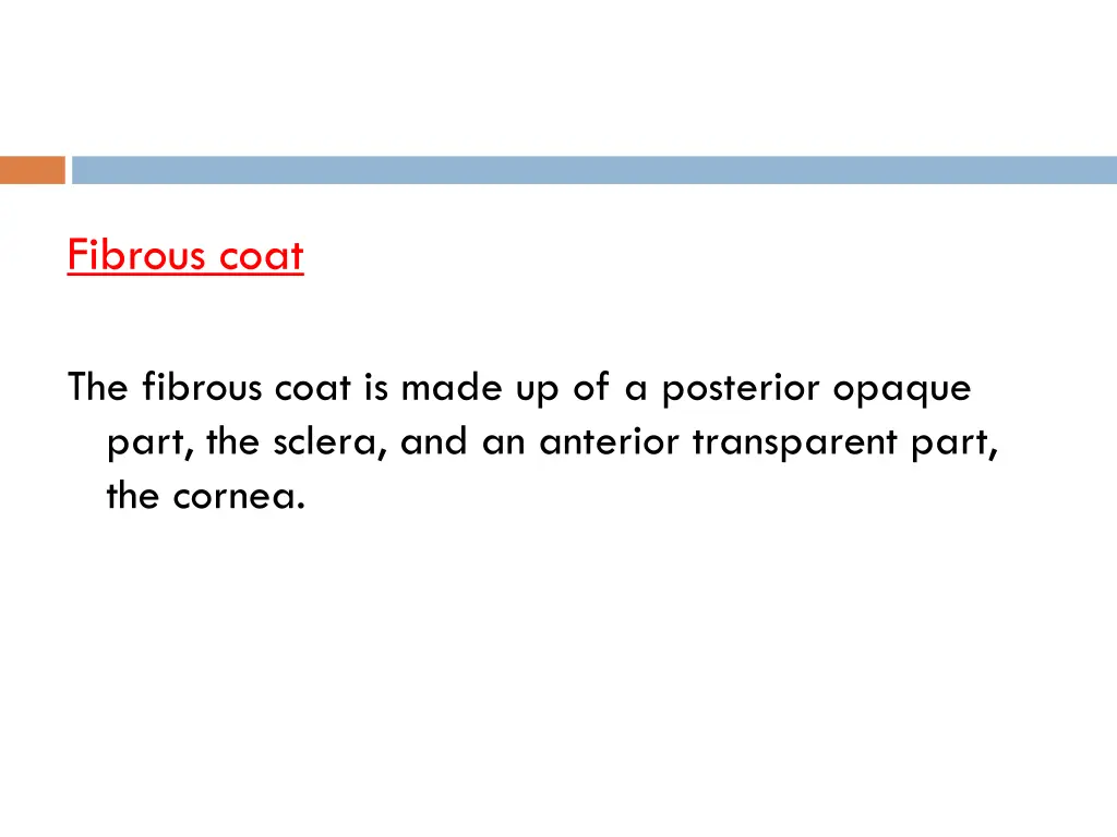 fibrous coat