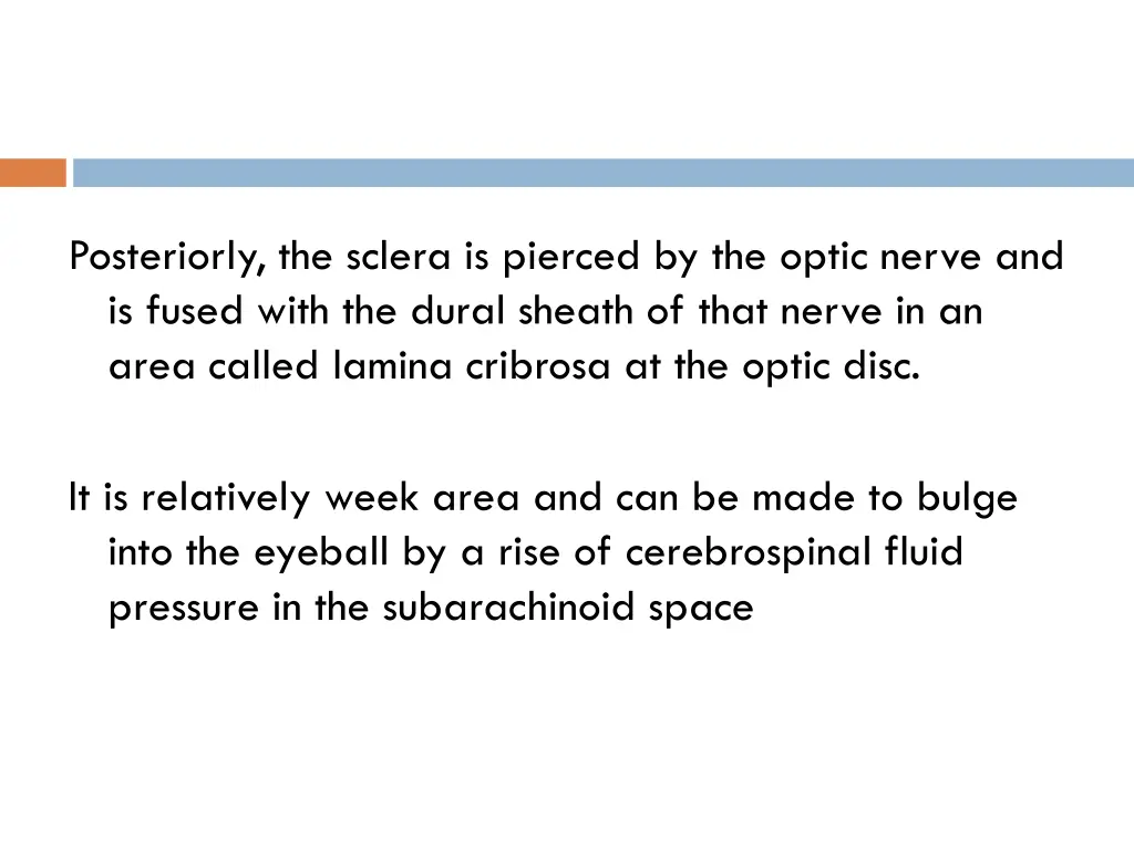 posteriorly the sclera is pierced by the optic