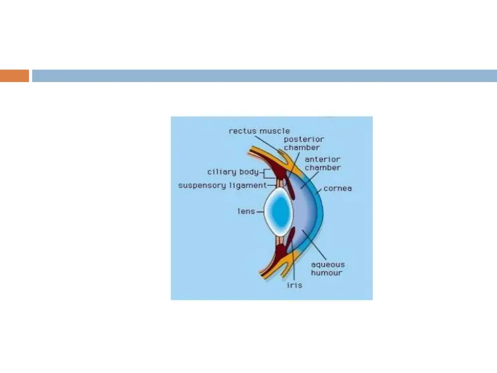slide12