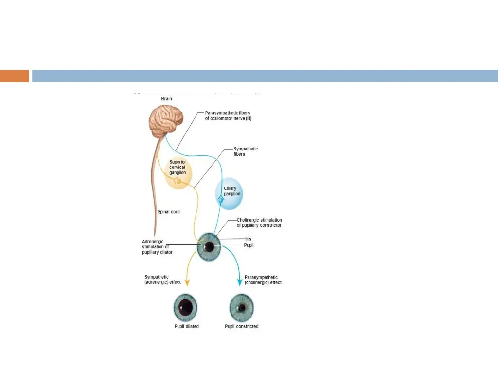 slide14