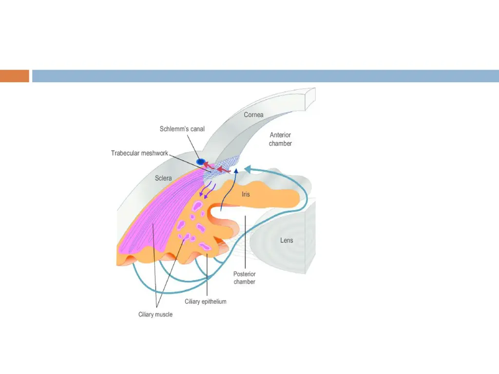 slide20