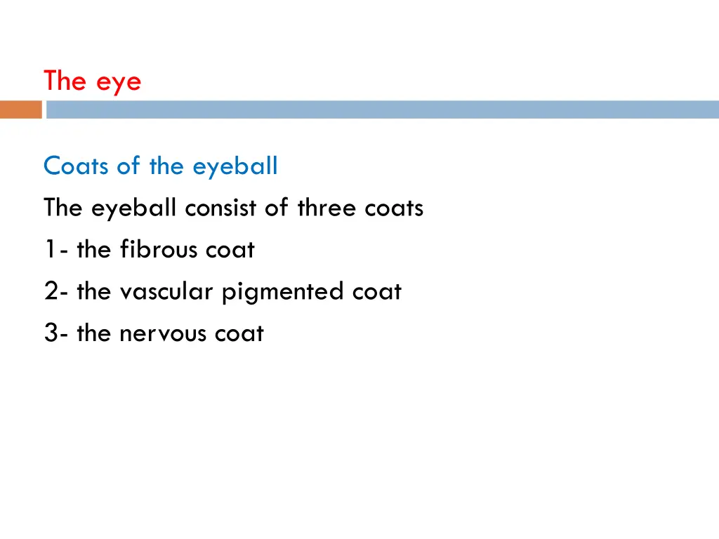 the eye