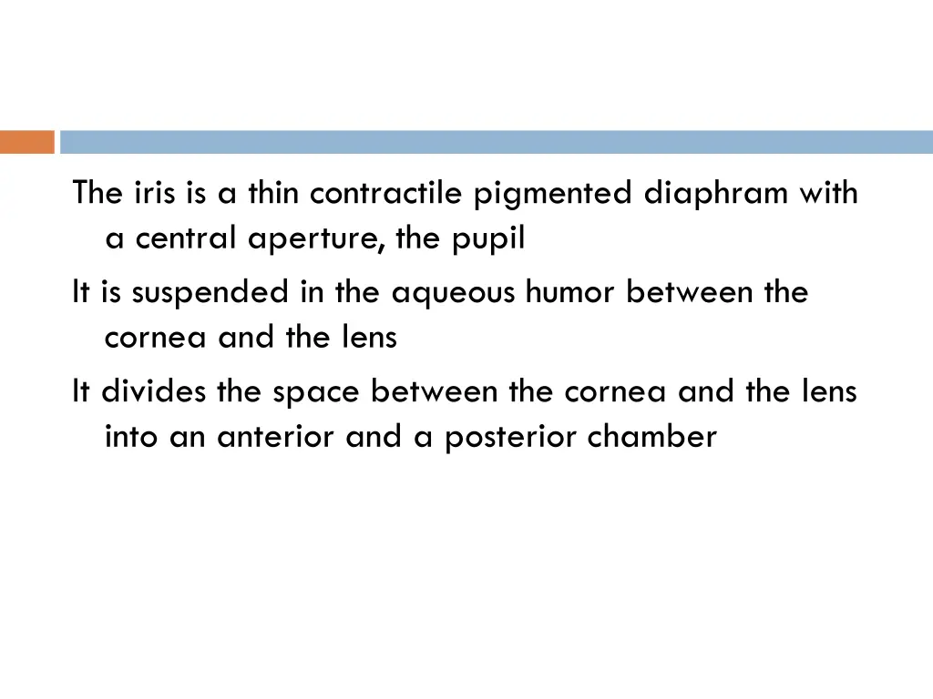 the iris is a thin contractile pigmented diaphram