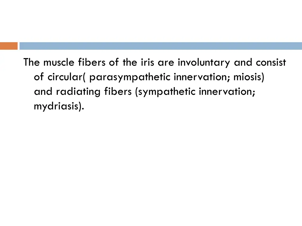the muscle fibers of the iris are involuntary