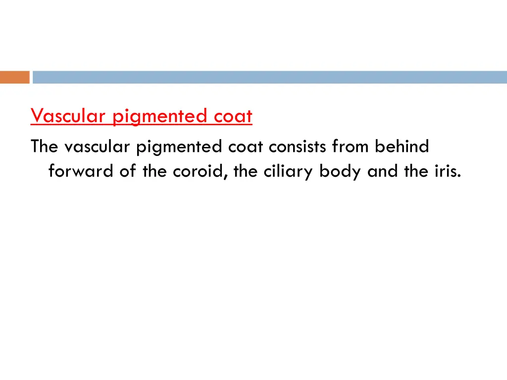 vascular pigmented coat the vascular pigmented