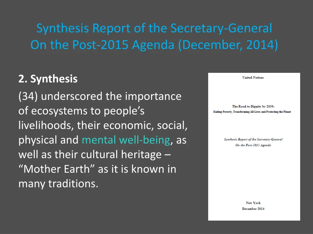synthesis report of the secretary general