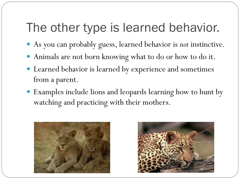 the other type is learned behavior