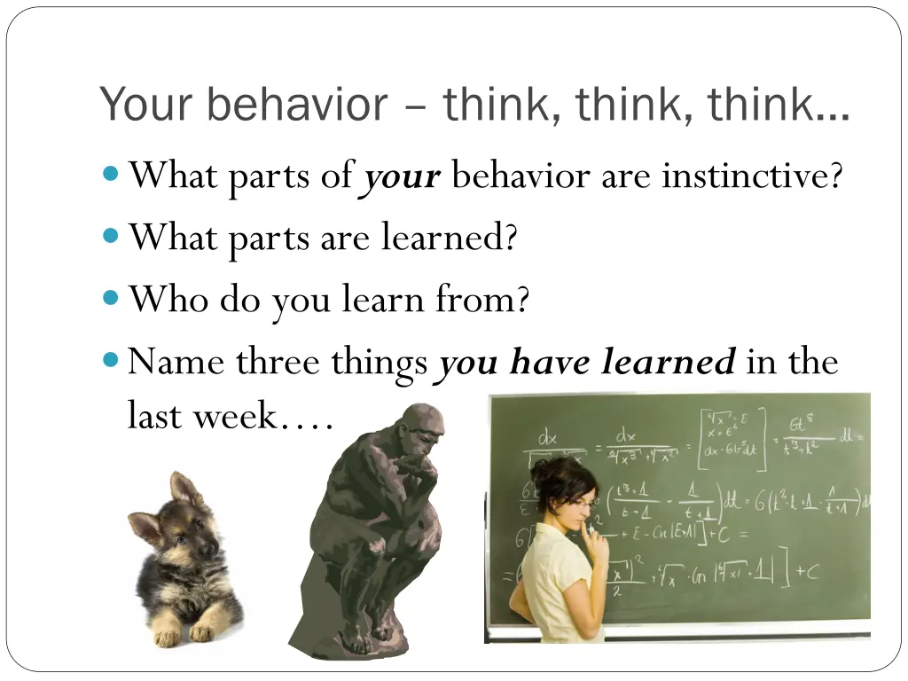 your behavior think think think what parts