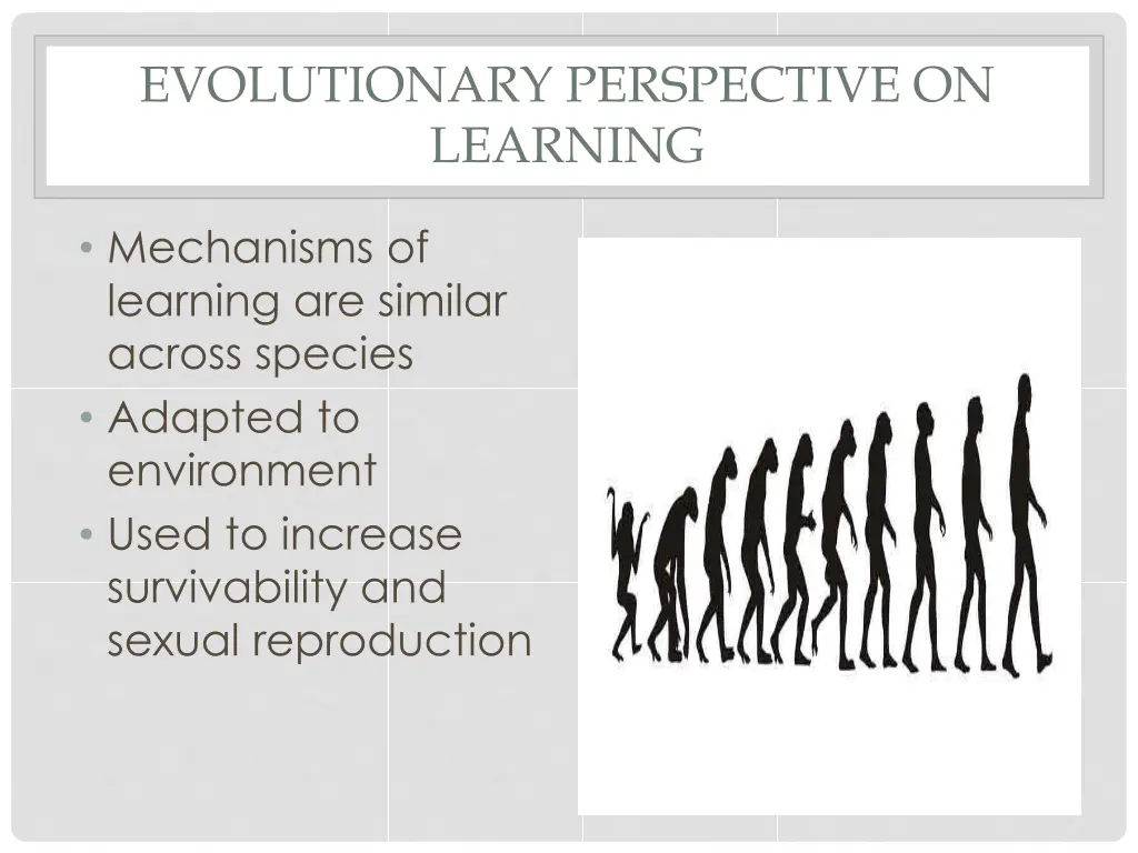 evolutionary perspective on learning