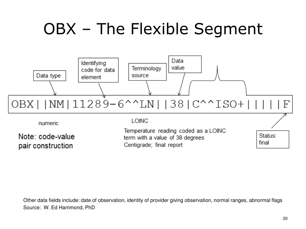 obx the flexible segment
